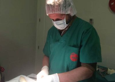 operando a un perro en Clínica Veterinaria Victor Serena
